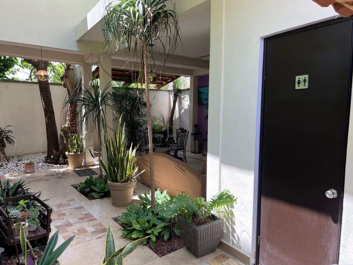 Hotel Balche 巴卡拉尔 外观 照片